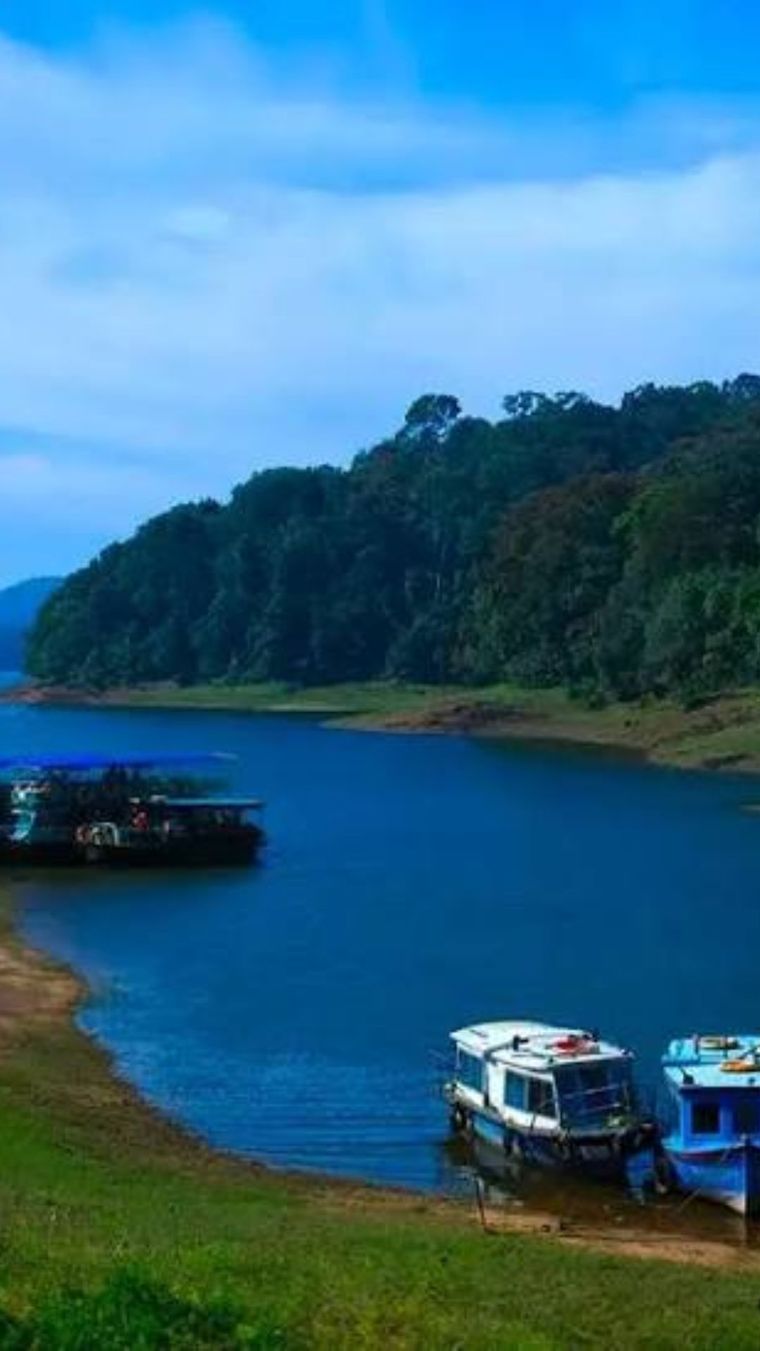 Boats moored on a blue lake ringed by forest