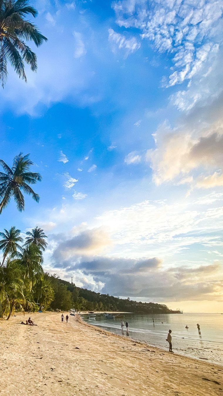Palm-lined white sand beach under a big sky